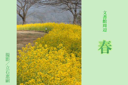 ２００８年　初春