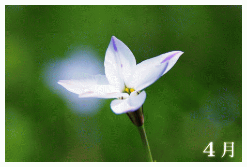 ２００９年　　４月