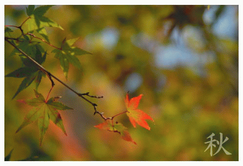 ２００９年　秋