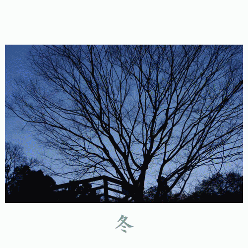 ２０１０年　冬