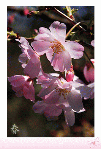 ２０１０年　春（１）