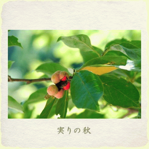 ２０１０年　実りの秋