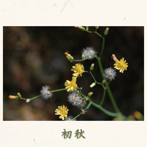 ２０１０年　初秋