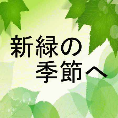 ２０１３年　新緑の季節へ