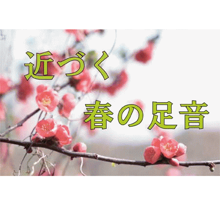 ２０１４年　近づく春の足音
