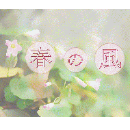 ２０１５年　春の風