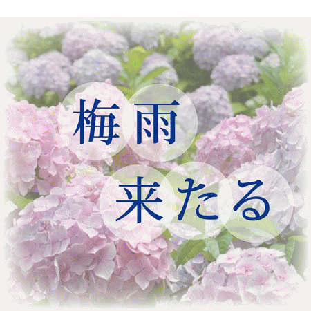 ２０１５年　梅雨来たる