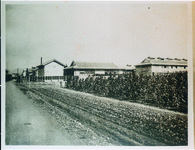 徳島県原蚕種製造所