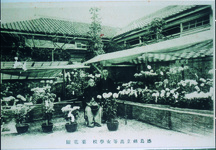 徳島県立高等女学校・菊花園