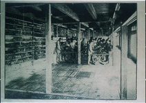 県立農業学校　養蚕の実習の光景