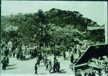 徳島公園の一部