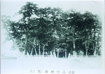 村社　八幡神社（矢三）