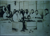 徳島陸軍病院慰問袋荷造実況