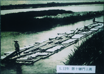 第十樋門から２００ｍほど行った所