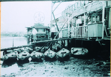 新町川「コティのソフトクリーム」（水上喫茶）