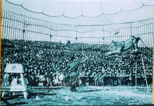 世界動物大博覧会