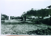 徳島駅前広場　駅前植樹