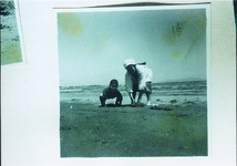 ３－３０．０５　津田の海岸地　潮干狩り