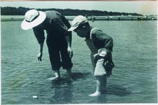 ３－３０．０５　津田の海岸地　潮干狩り