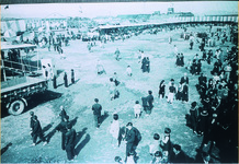 世界動物大博覧会