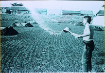 「暖冬異変　塩浜」