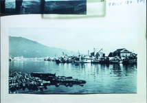 ３－３０．０６　津田港より眉山を望む