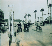 徳島駅前風景（やしの木が昭和２８年に県庁から駅前に移植された）
