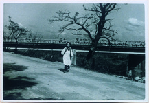 勝浦川（丈六町）の土手　