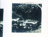 ３－３０．０３　眉山よりの夜景