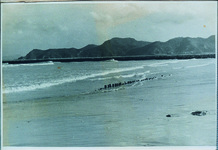 ２－２９．０９　嵐の翌日　沖洲の海岸　小松島まで見晴らせた