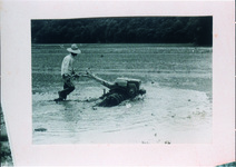 銅（かね）の鳥居付近の水車と田植え