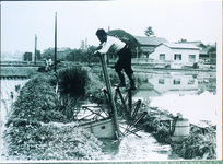 八万町南浜の水車
