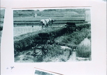 銅（かね）の鳥居付近の水車と田植え