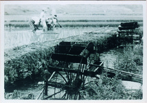 銅（かね）の鳥居付近の水車と田植え