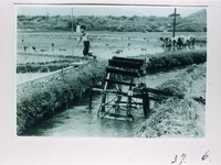 銅（かね）の鳥居付近の水車と田植え