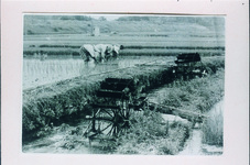 銅（かね）の鳥居付近の水車と田植え