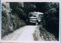 ボンネットバス　津恵神の所