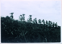 吉野川堤防での阿波踊り（写真家たちが連に頼んで堤防で踊ってもらったモデル写真。普段はここでは踊らない。）