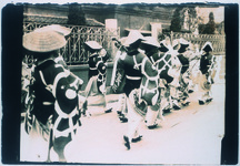 徳島の阿波踊り