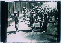 徳島の阿波踊り