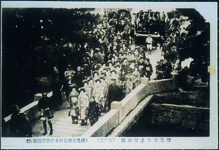 徳島美人の眉山踊り