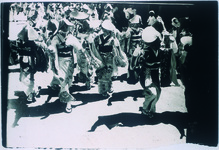 徳島の阿波踊り