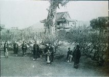 徳命・千光寺の臥龍梅