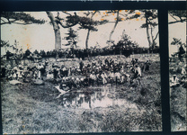 保安林での鳴門わかめ製造