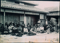 保安林での鳴門わかめ製造