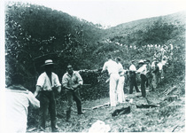 俘虜たちの薪運び