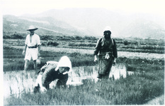 俘虜が写した日本人