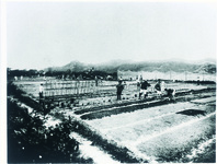 農作業をするドイツ兵