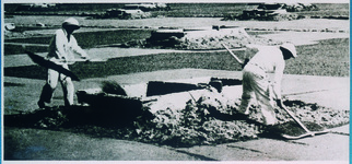 着塩した重い砂を沼井台に集める浜入れ