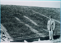 階段式天日濃縮台と近藤義男